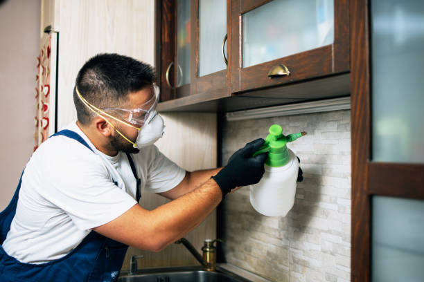 Best Pest Removal Services  in Delano, CA
