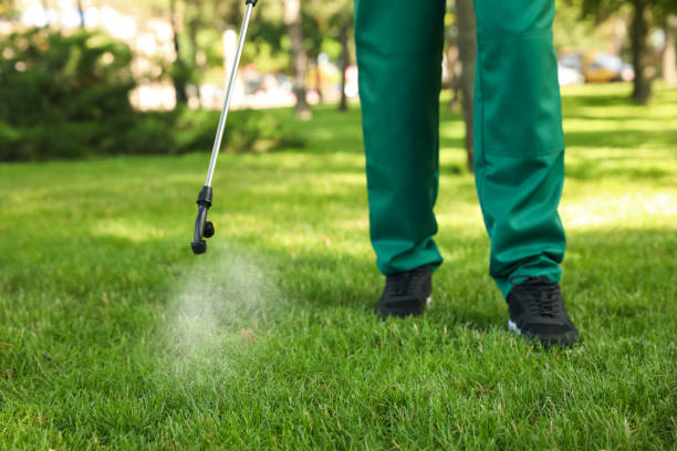 Professional Pest Control in Delano, CA