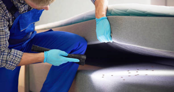 Best Bed Bug Extermination  in Delano, CA