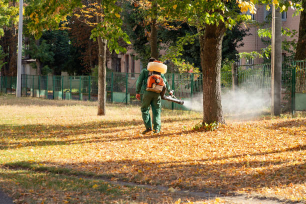 Best Best Pest Control Companies  in Delano, CA